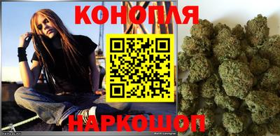 Альфа ПВП Новозыбков