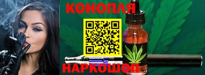 Альфа ПВП Новозыбков