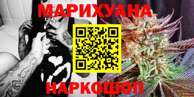 гашик Новодвинск