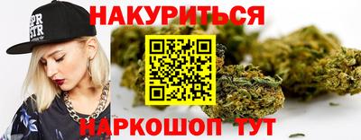 Альфа ПВП Новозыбков