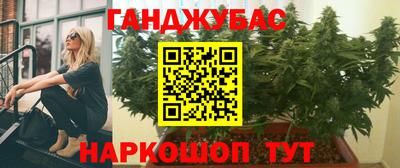 гашик Новодвинск