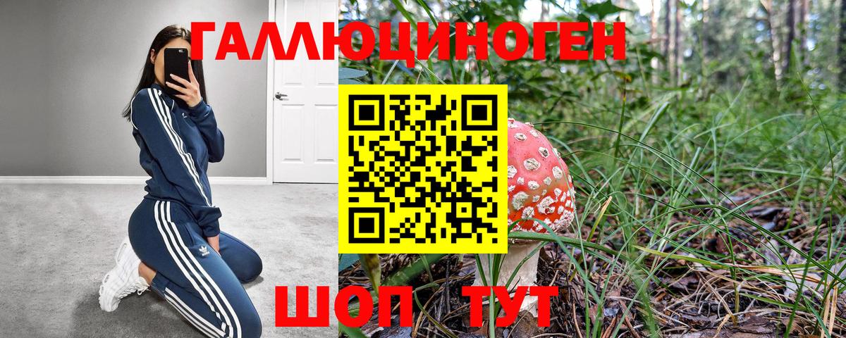 где можно купить наркотик  Вход с VPN  Сухой Лог  Псилоцибиновые грибы мухоморы 