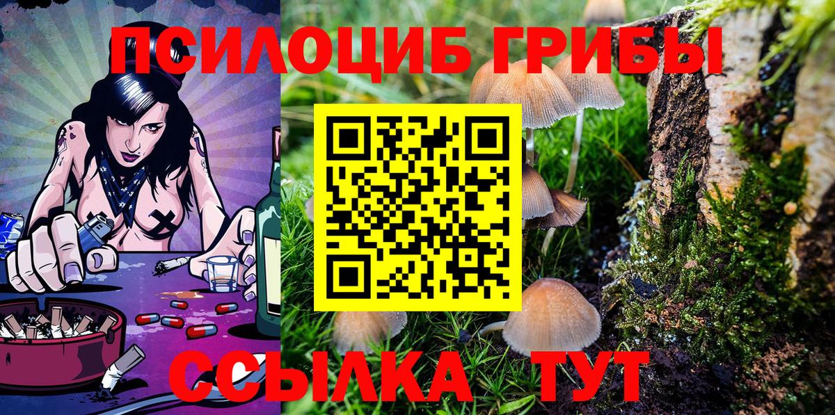 Галлюциногенные грибы Cubensis Сухой Лог